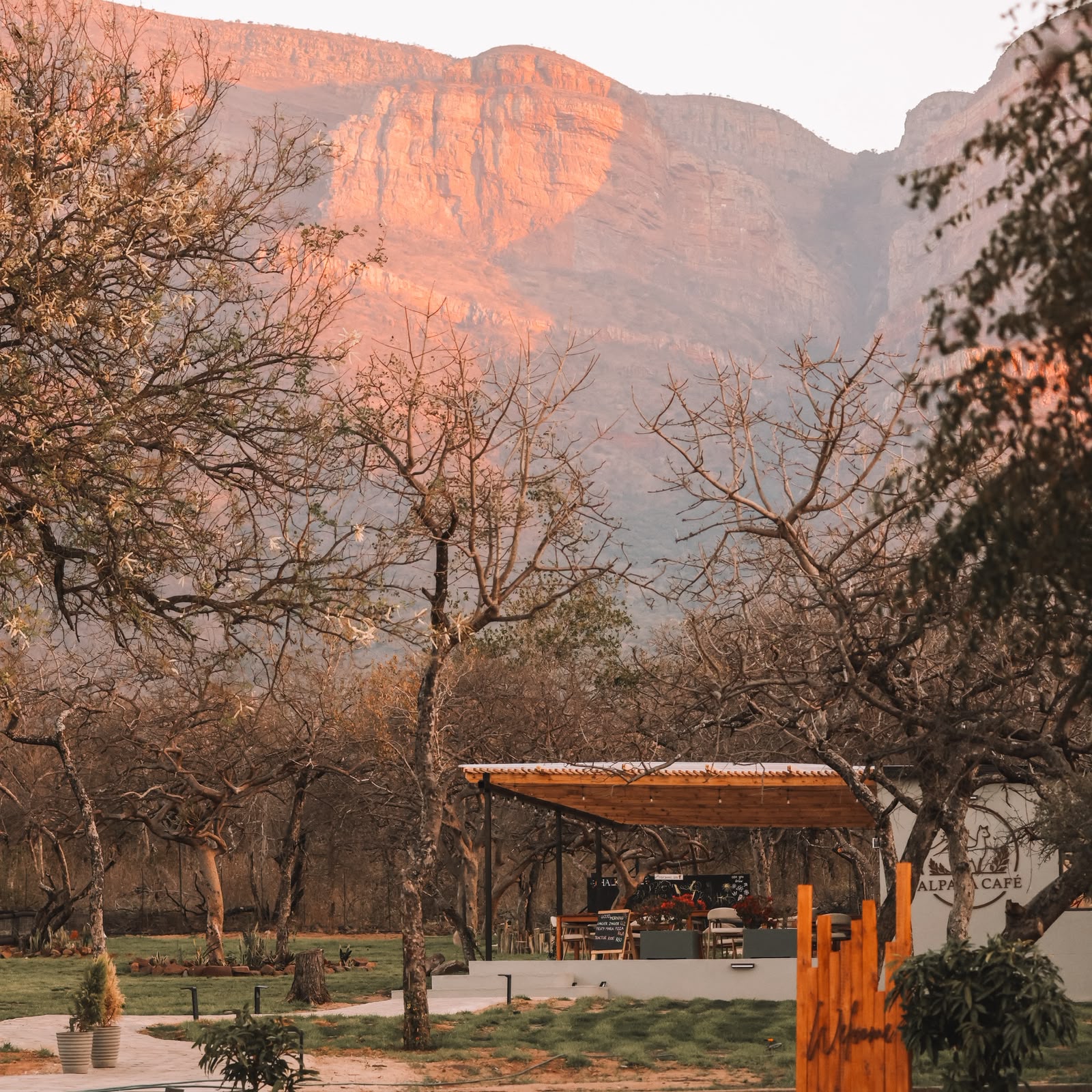 Alpaca Cafe building and shaded patio on the lawn, with mountains behind