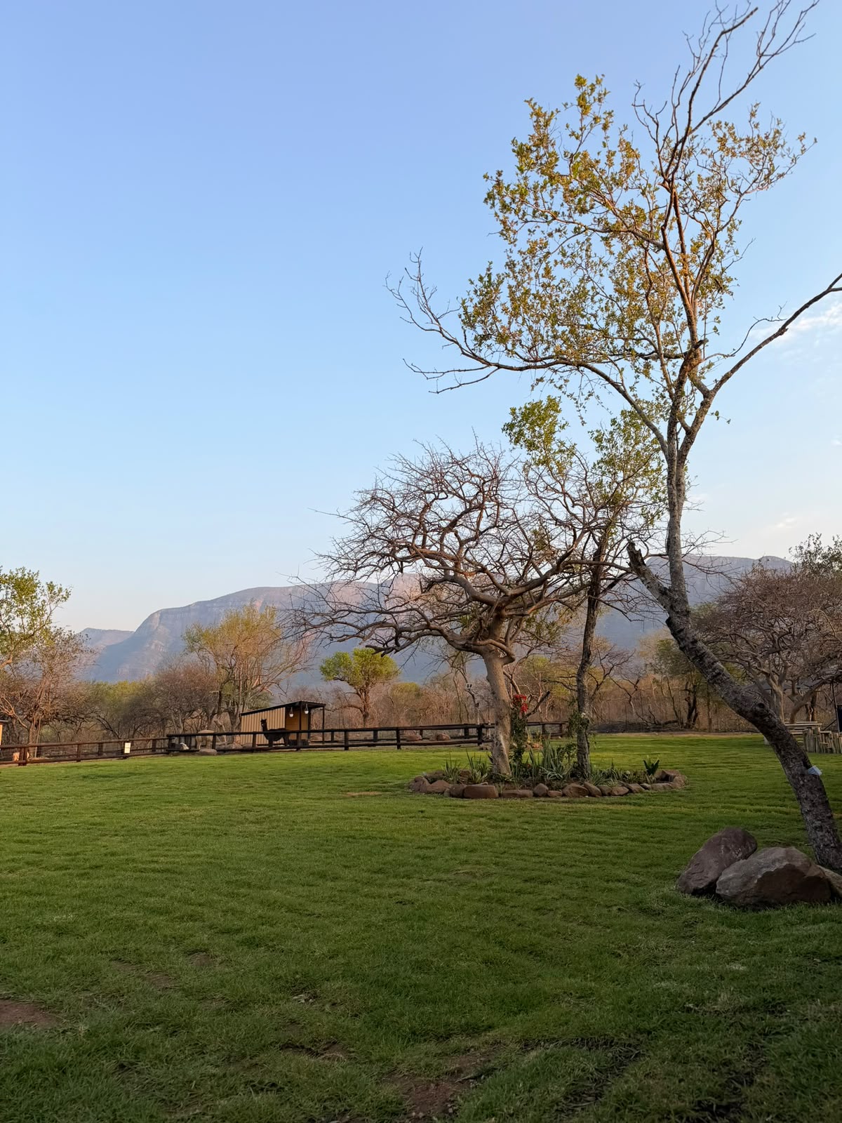 The farm lawn with trees, a wooden fence and mountains in the distance