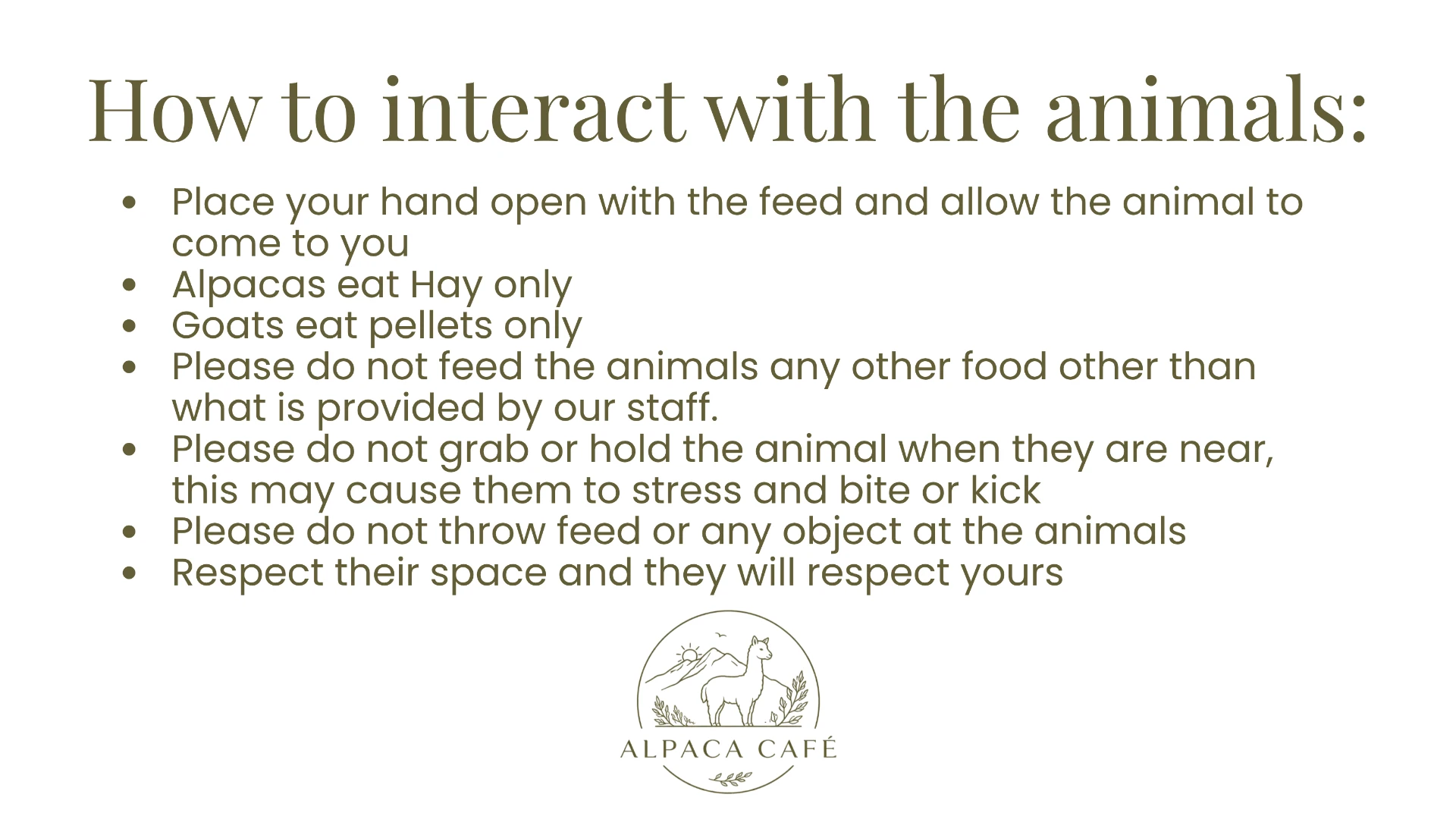 How to interact with the animals: place your hand open with the feed and let the animal come to you; alpacas eat hay only and goats eat pellets only; do not feed them anything else, do not grab or hold them, do not throw feed or objects, and respect their space.